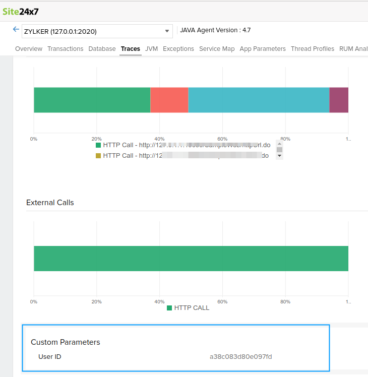 java-api-custom-params Output